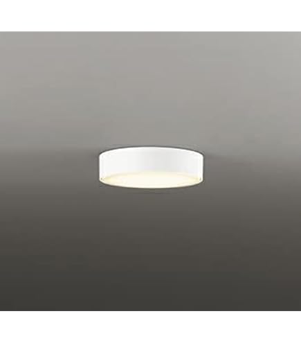 Amazon | クラコ 厨房用耐熱防湿型照明 フードライト HOOD LIGHT LED